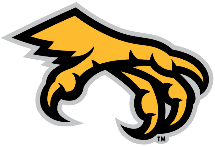 Kennesaw State Owls 2012-Pres Alternate Logo v2 iron on transfers for clothing